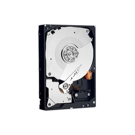 Dell HD 3T NL6 7.2K 3.5 H-MKP E/C